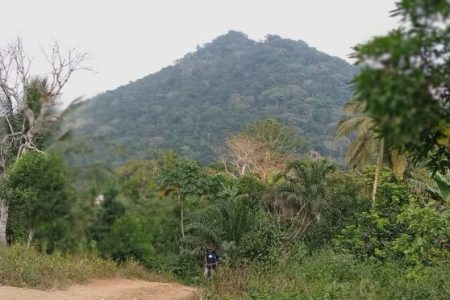 A-view-of-the-hills-comprising-the-Ebo-forest-800x372