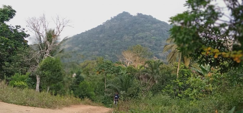 A-view-of-the-hills-comprising-the-Ebo-forest-800×372